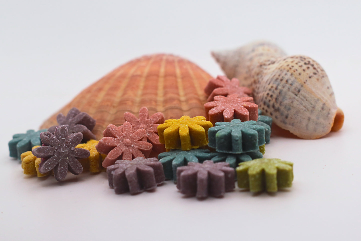 Crazy Daisies Mini Pack