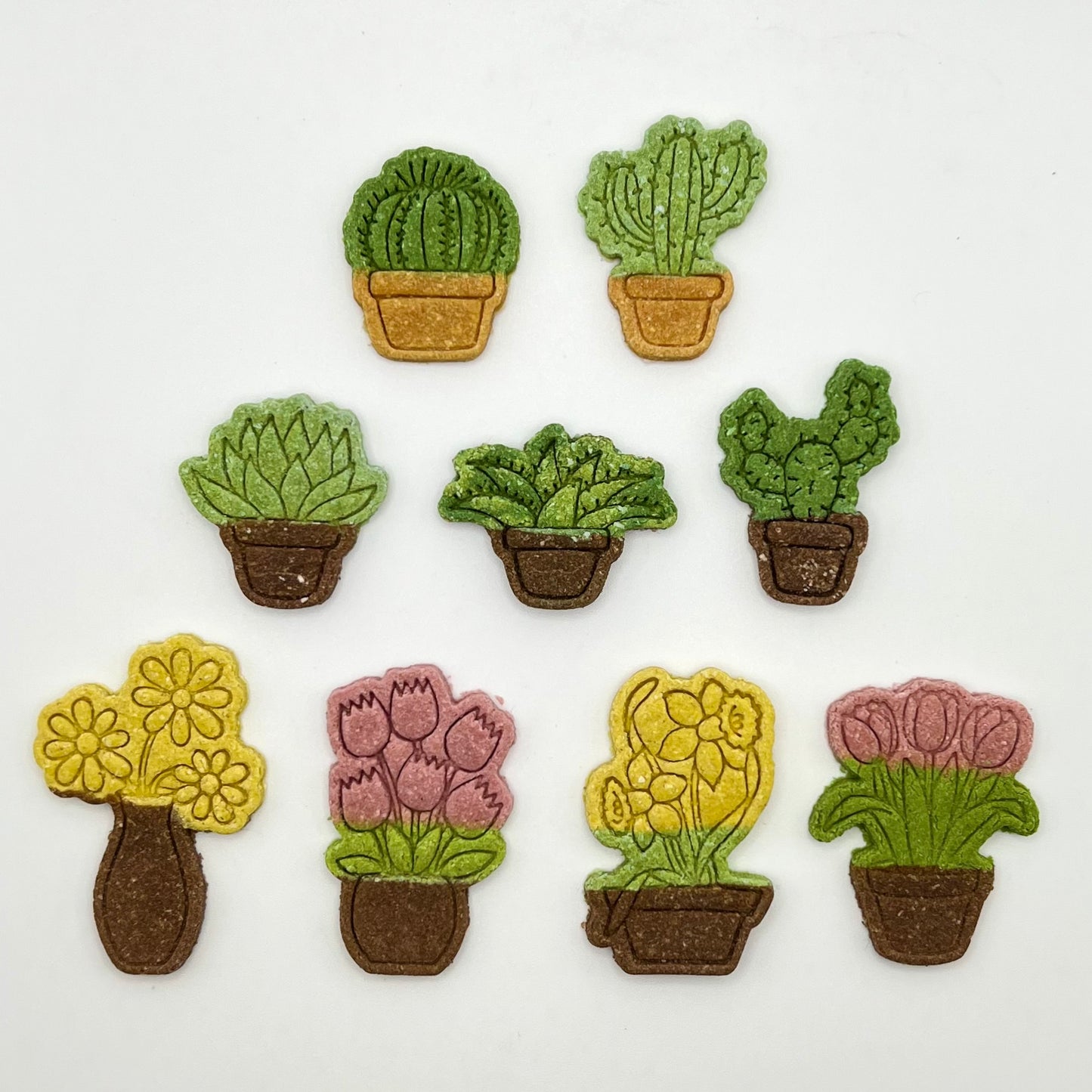 Mini Potted Plants Combo Pack
