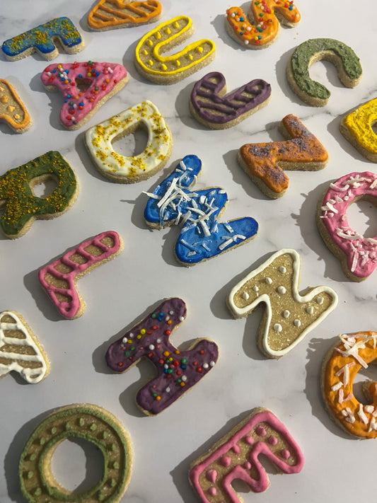 Jumbo Letters (Individual Letters)