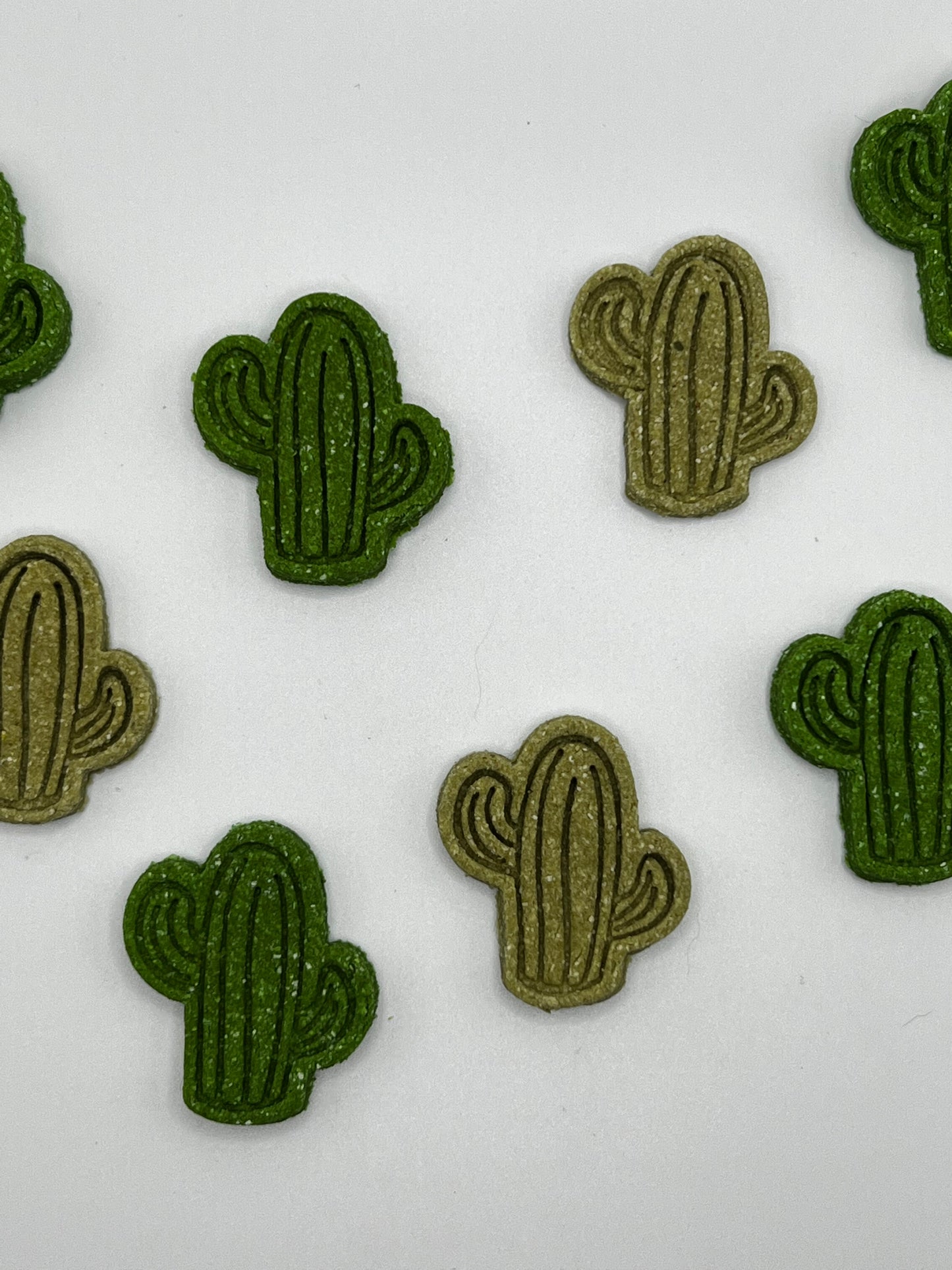 Mini Cactus Pack