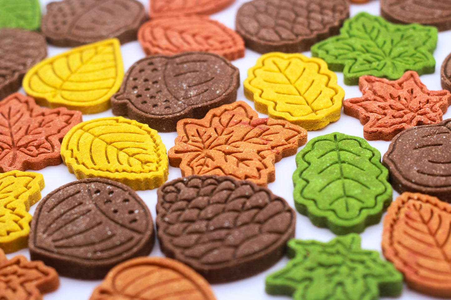 Autumn Leaves Maxi Pack