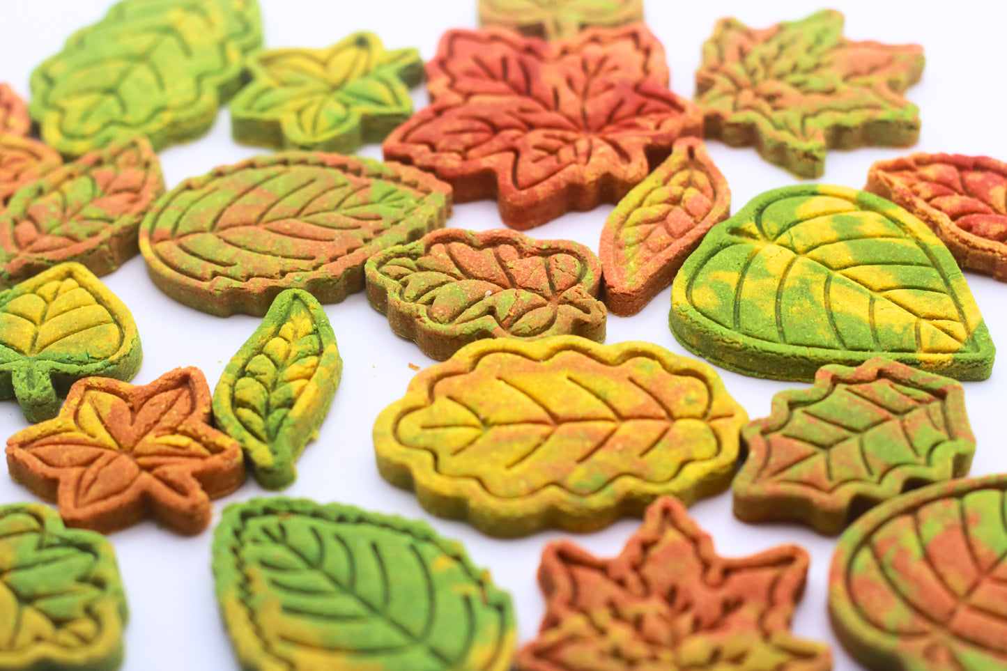 Autumn Leaves Mixed Pack